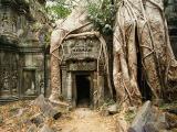 Ta Prohm Temple